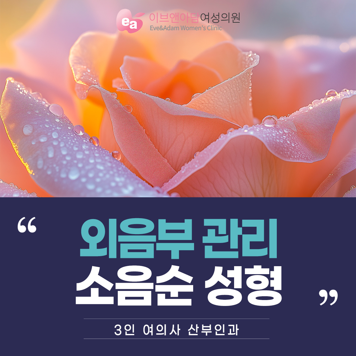 추운날씨